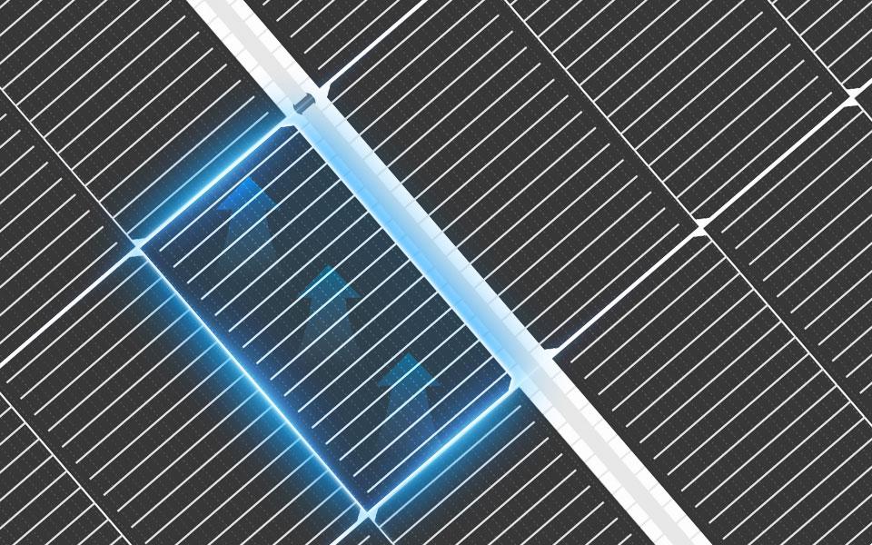 welcome-百乐博·(blb)官方网站